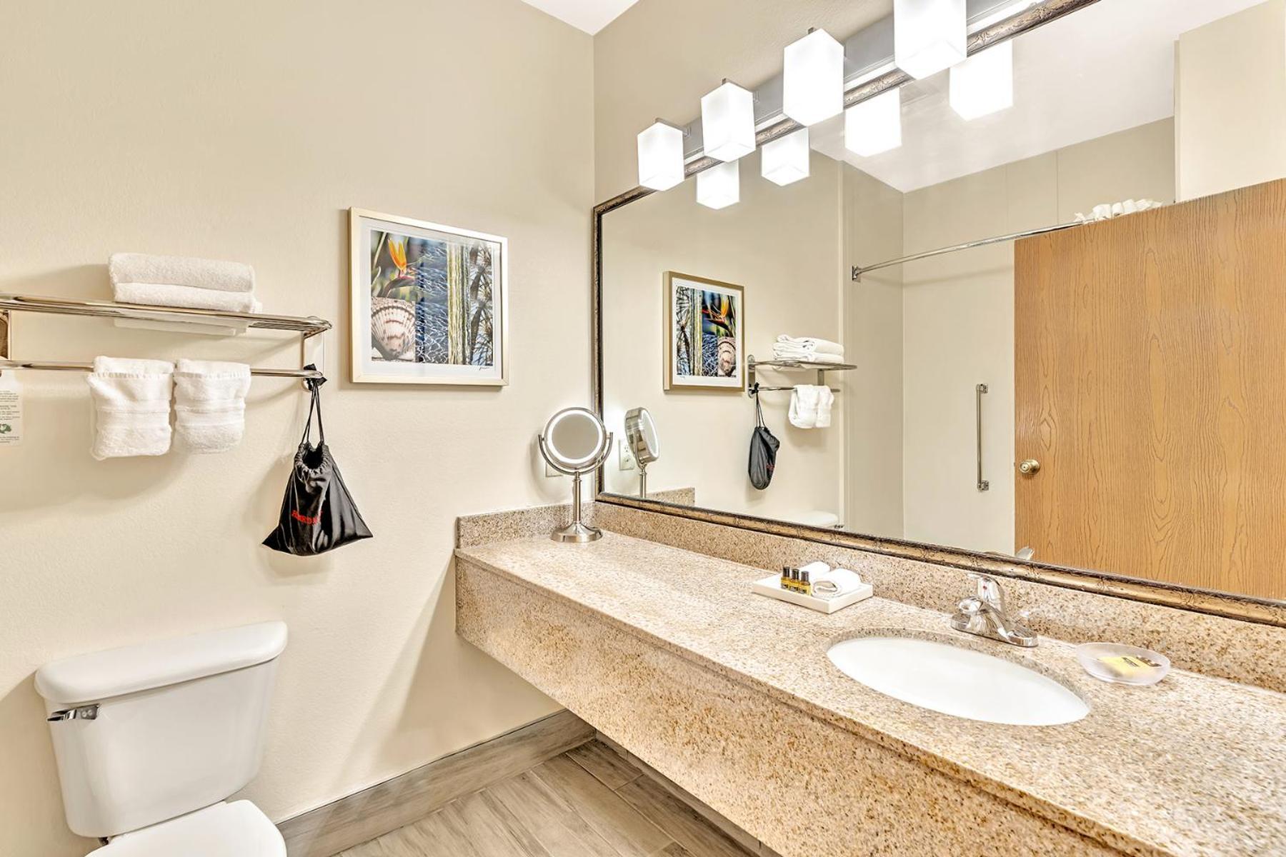 Best Western Plus Lewisville Flower Mound חדר תמונה
