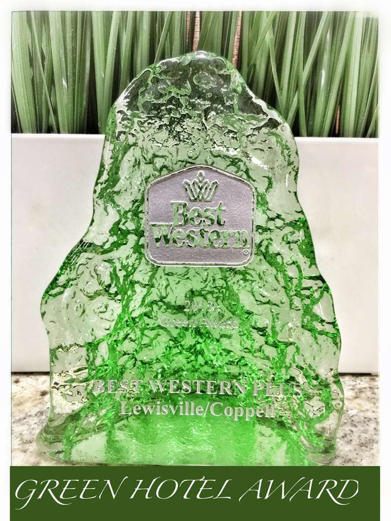 Best Western Plus Lewisville Flower Mound שירותים תמונה